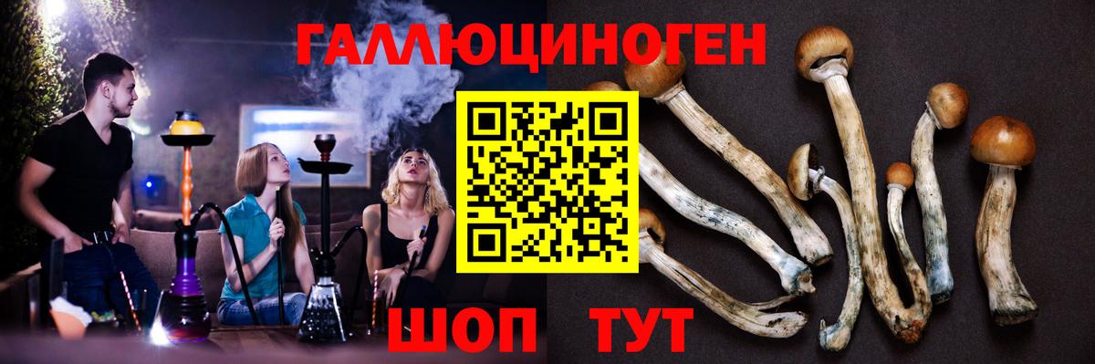 Кемерово  Галлюциногенные грибы ЛСД  Псилоцибиновые грибы Magic Shrooms  Вход с VPN 